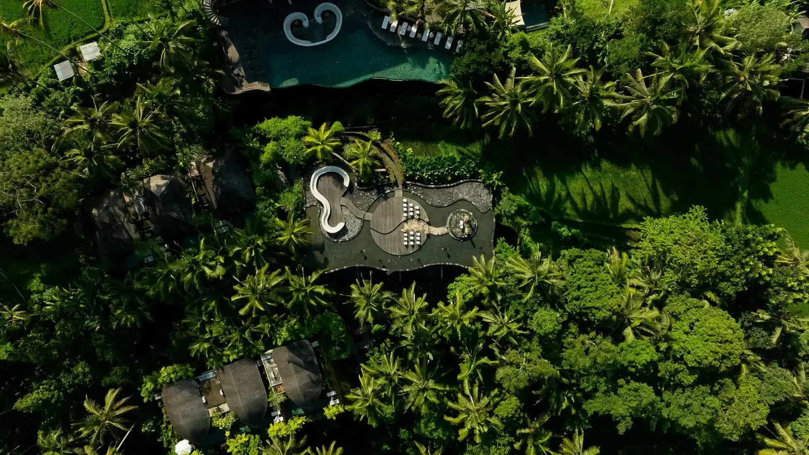 Bali retreat 1